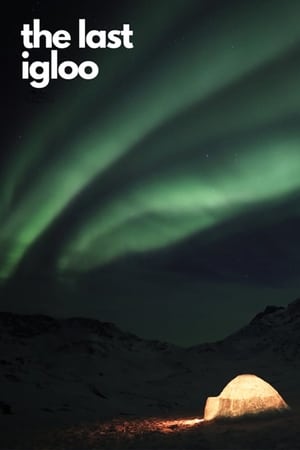 Nonton Film The Last Igloo (2019) Terbaru