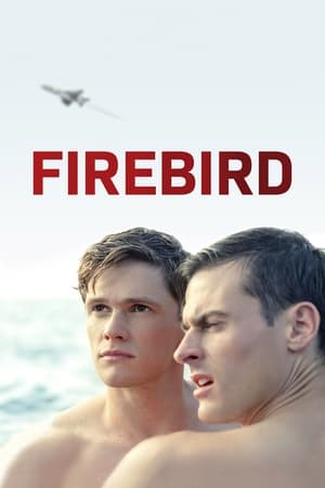 Nonton Film Firebird (2021) Terbaru Nonton Film Firebird (2021) Terbaru