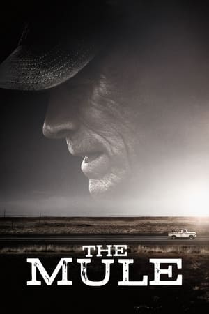 Nonton Film The Mule (2018) Terbaru Nonton Film The Mule (2018) Terbaru
