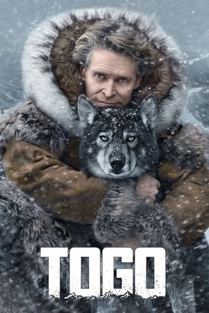 Nonton Film Togo (2019) Terbaru Nonton Film Togo (2019) Terbaru