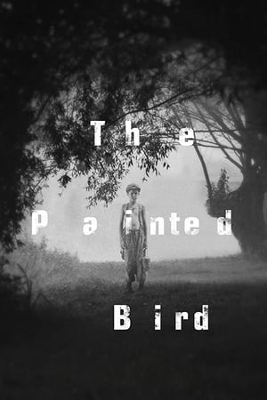Nonton Film The Painted Bird (2019) Terbaru Nonton Film The Painted Bird (2019) Terbaru