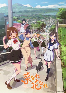 Nonton Film Na Nare Hana Nare – Episode 7 Terbaru