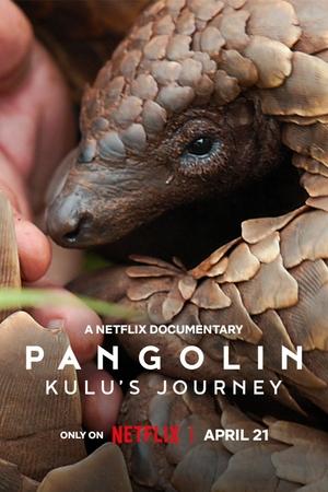 Nonton Film Pangolin: Kulu’s Journey (2025) Terbaru Nonton Film Pangolin: Kulu’s Journey (2025) Terbaru
