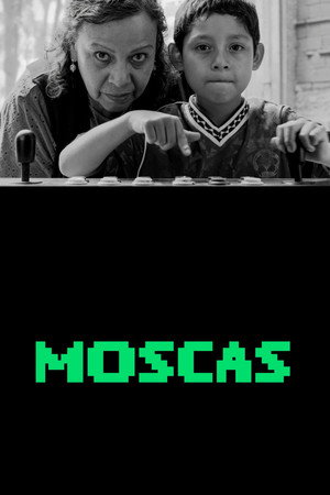Nonton Film Moscas Terbaru Nonton Film Moscas Terbaru
